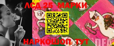 молекула духа Камышлов