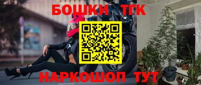 молекула духа Камышлов