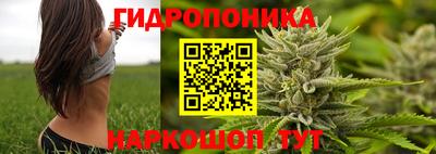 винт Кандалакша